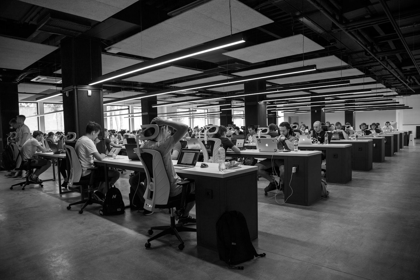 A team working together in a modern office